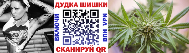Купить где  Циолковский  Шишки марихуана сатива 